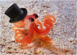 User Profile: Tinyoctopus