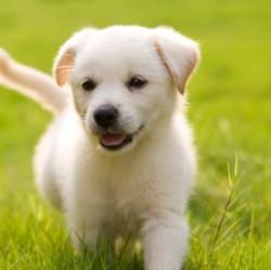 User Profile: Daylily03