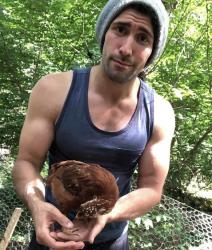 User Profile: Lionheart87