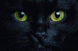 User Profile: versatileBlueberry618