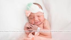 User Profile: reliableSpring4947