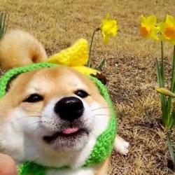 User Profile: Yamiswoosh