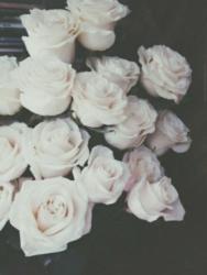 User Profile: cookiesncream12