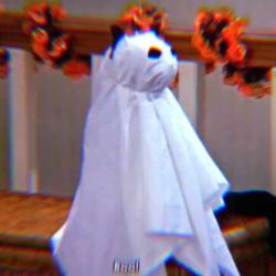 User Profile: blackrabbit79