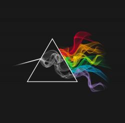 User Profile: placidDay7261