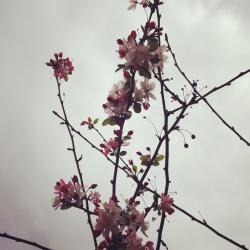 User Profile: OhxDollface322