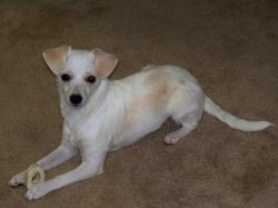 User Profile: OrganizedChaos