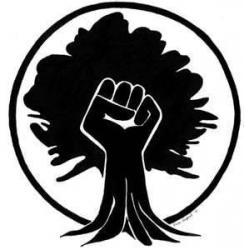 User Profile: BlackPowder