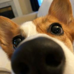 User Profile: pluckyBanana6120