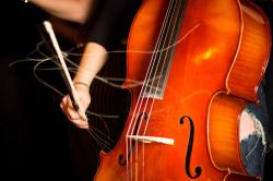 User Profile: meljoueduvioloncelle