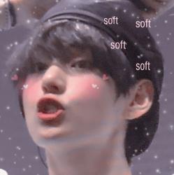 User Profile: leetaeshii
