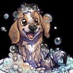 User Profile: adaptableStrawberries255