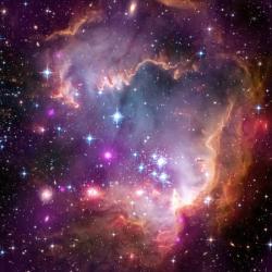 User Profile: AstronautCat