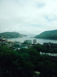 User Profile: Celiaete