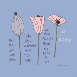User Profile: BloomWhereYouArePlanted