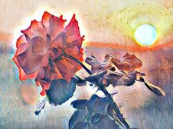 User Profile: RoseAtDusk