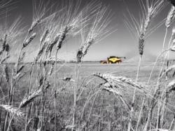 User Profile: PrairiesAreMyThing