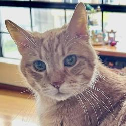 User Profile: StefanyCA