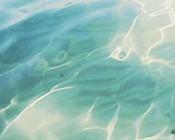 User Profile: 0ceandeep
