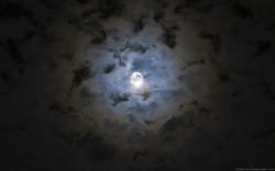 User Profile: AberrantUndergroundSky