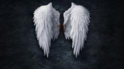 User Profile: AngelofGod