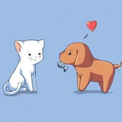 User Profile: potahtoprincess