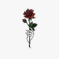 User Profile: JessiValerian