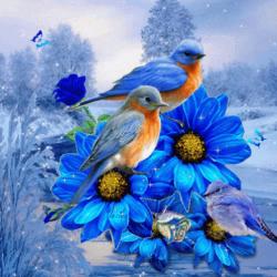 User Profile: BlueBird957