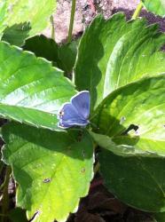 User Profile: Caregiver38