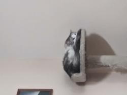 User Profile: Birdy1301