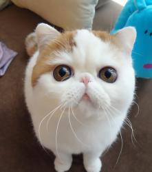 User Profile: LifeBoy