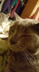 User Profile: CreativelyAlone