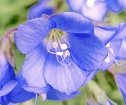 User Profile: daylight54