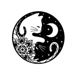 User Profile: infinitas