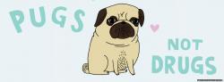 User Profile: pugflower