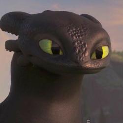 User Profile: DragonsFaith