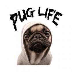 User Profile: FuglyPugly