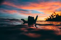User Profile: Aloha303