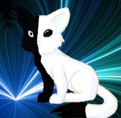 User Profile: Kyuu123