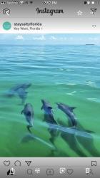 User Profile: blueBeach6823