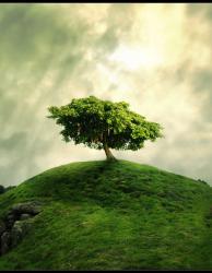 User Profile: AsAboveSoBelow