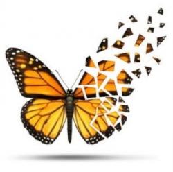 User Profile: Abrokenbutterfly