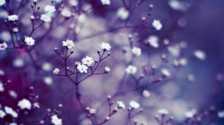 User Profile: skyhartman
