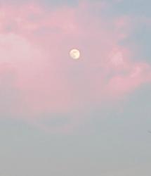 User Profile: baepsae22
