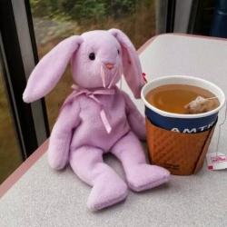 User Profile: BeanieBunny744
