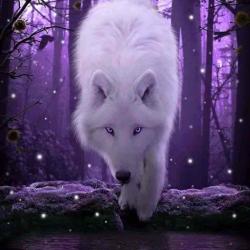 User Profile: puppyruler1234