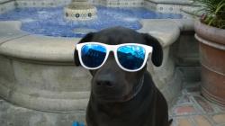 User Profile: Shiloh30