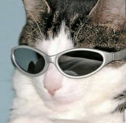 User Profile: sakurafawn