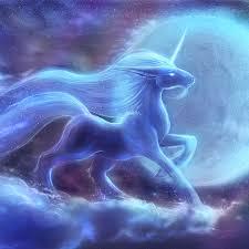 User Profile: Unicornxx