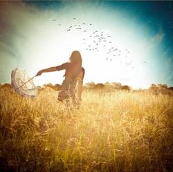 User Profile: aluminumskies